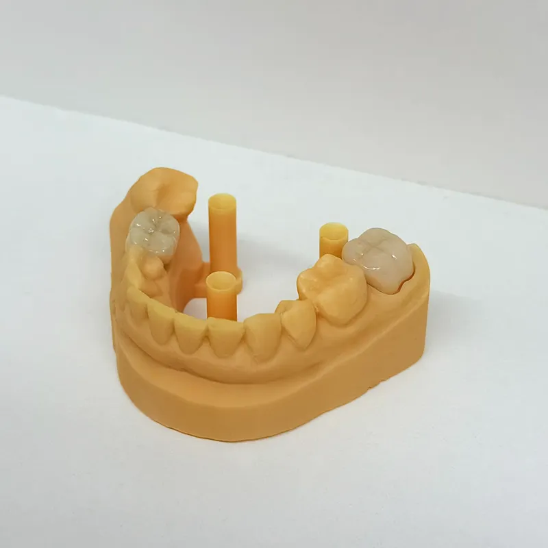 08 copy2